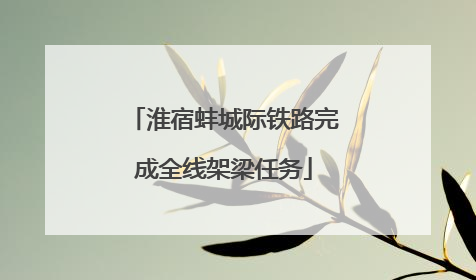 淮宿蚌城际铁路完成全线架梁任务
